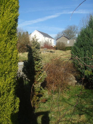 Garden from house