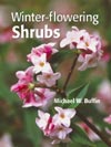 Winter-flowering Shrubs