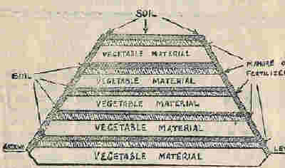 Compost Heap