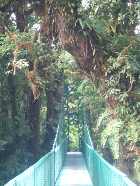 Suspension walkway, Salvatura, Guanacaste
