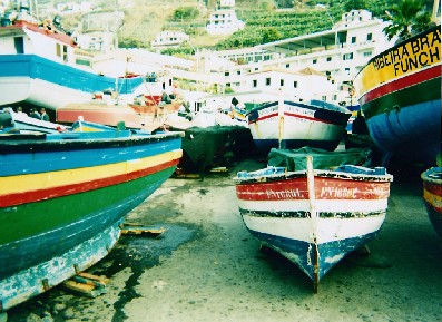 Fishing boats, Madeira