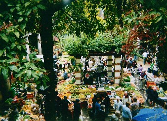 Funchal market