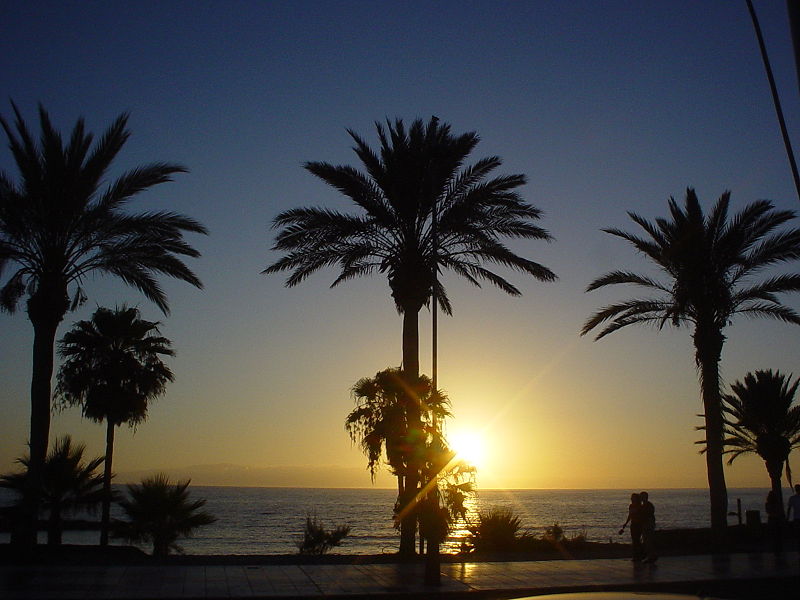 Playa de las Americas, Tenerife