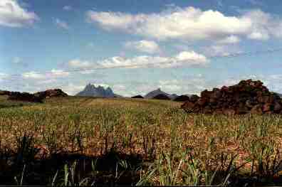 Inland Mauritius