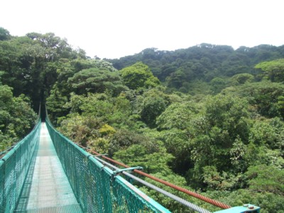 Costa Rica Cloud Forest