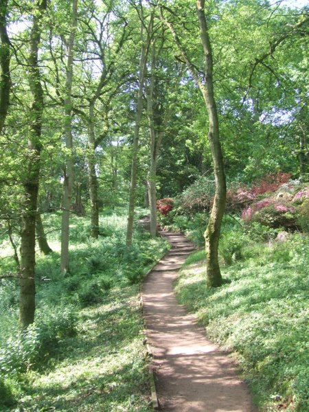 Winkworth Arboretum